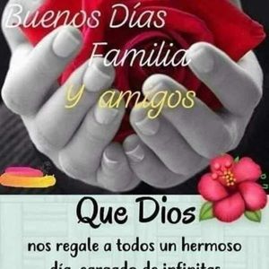 Meet your Posher, Nidia